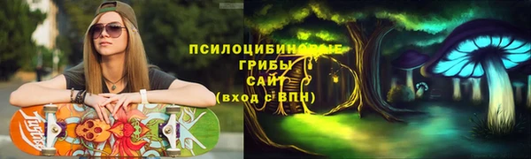 прущие грибы Инсар