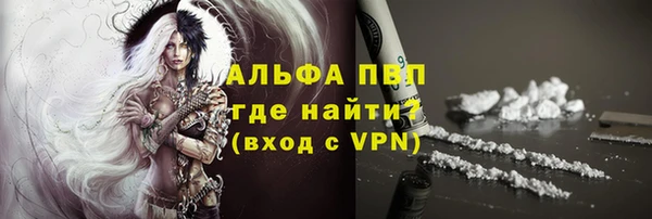 прущие грибы Инсар