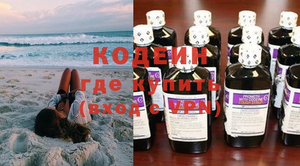 прущие грибы Инсар