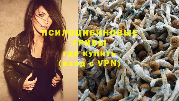 прущая мука Каменск-Шахтинский