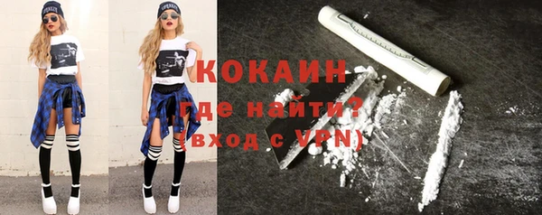 прущие грибы Инсар