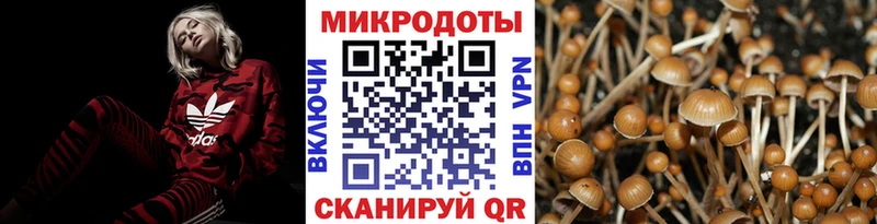 Псилоцибиновые грибы Psilocybine cubensis купить сайты Зерноград
