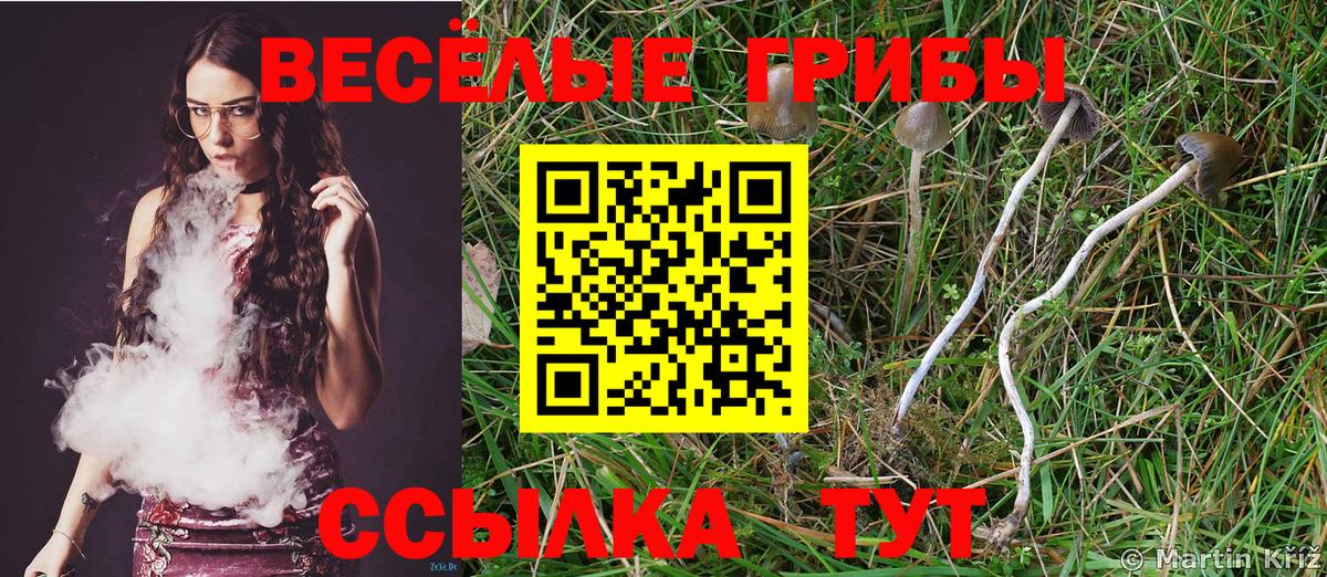 Зерноград  Псилоцибиновые грибы GOLDEN TEACHER  как найти закладки  Вход с VPN 